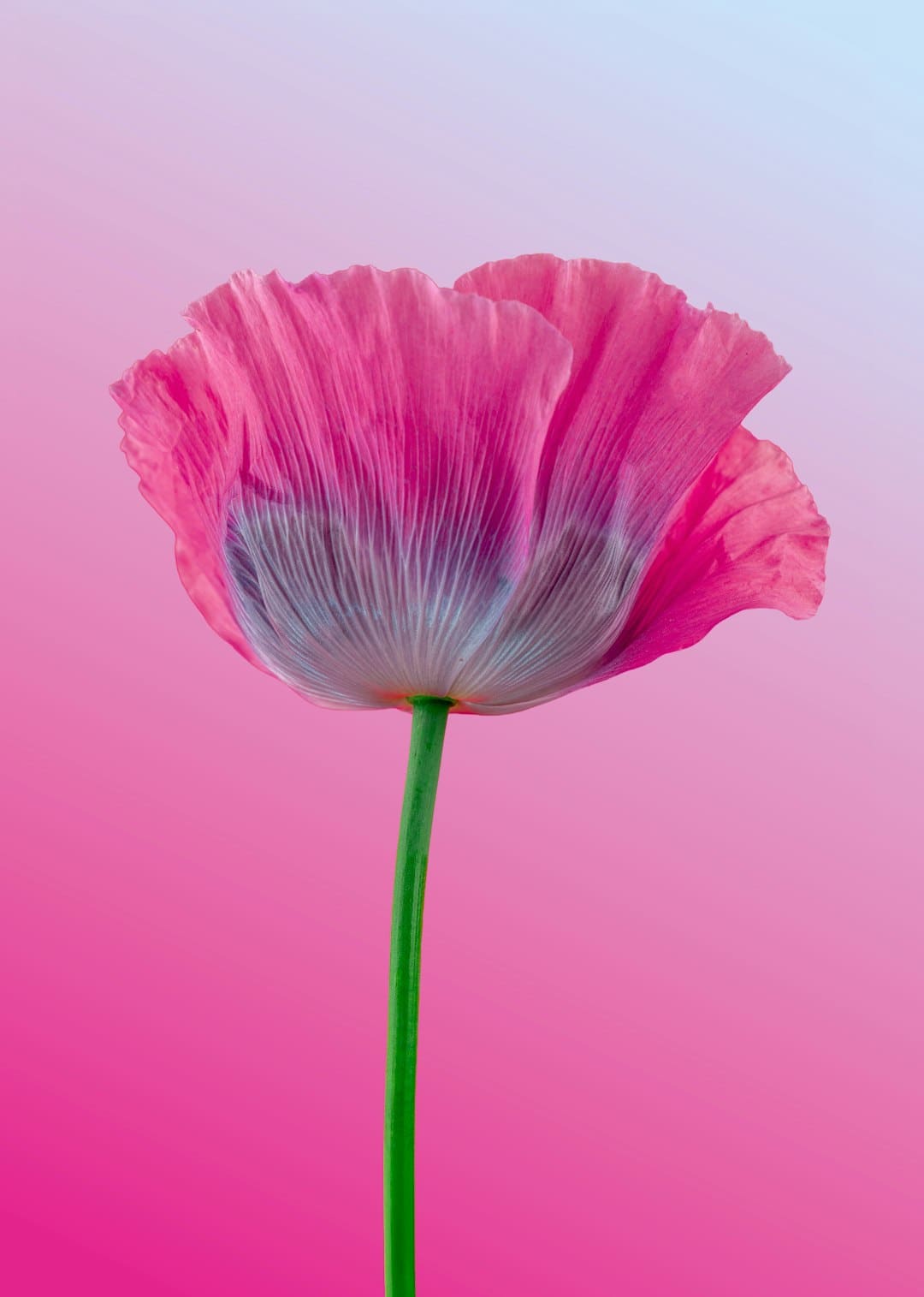 http://n.sinaimg.cn/front/w710h798/20180311/c-TJ-fxpwyhx0861375.jpg?zdy